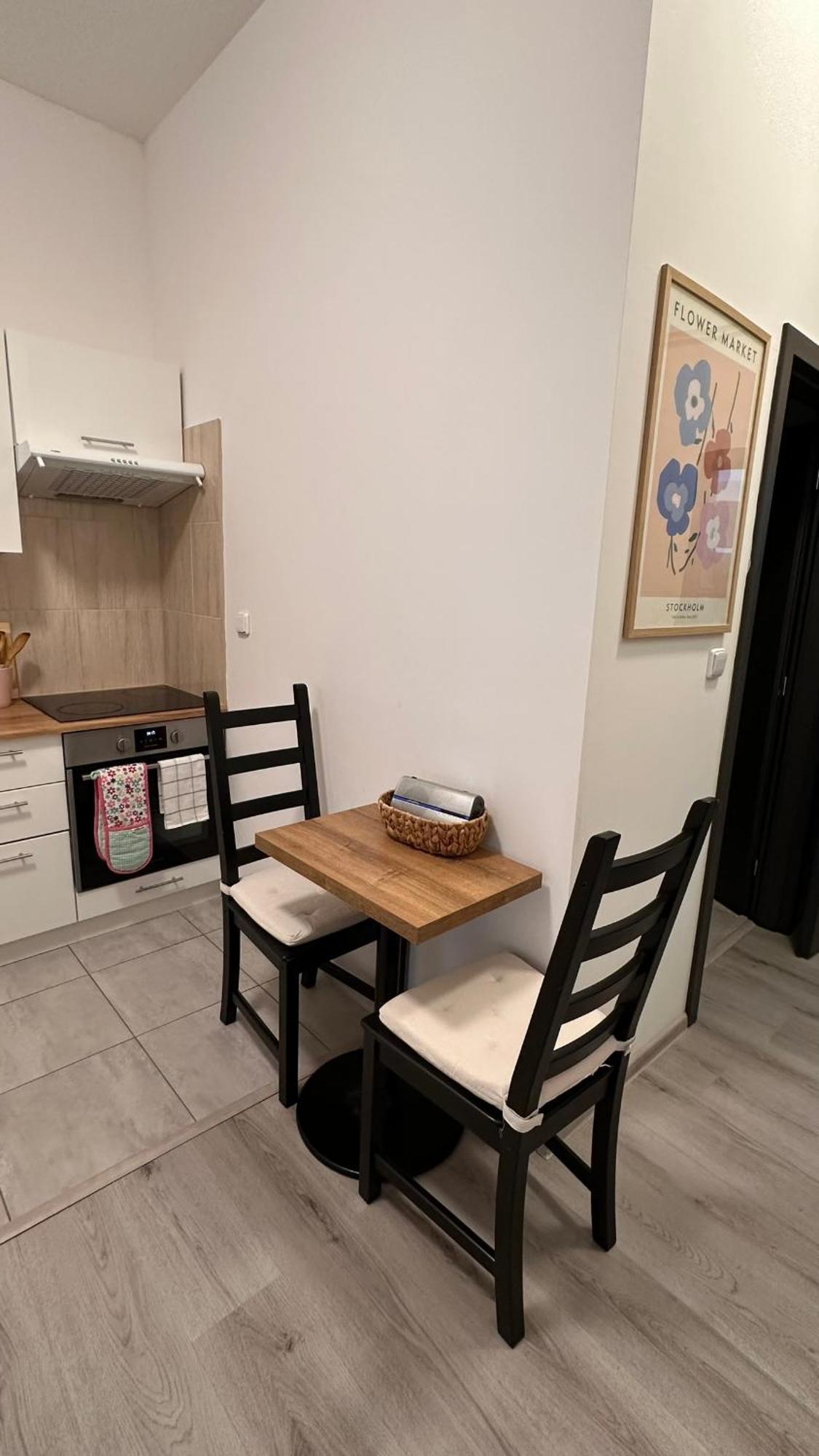 Apartmany Na Trojce Zatec  Exterior photo