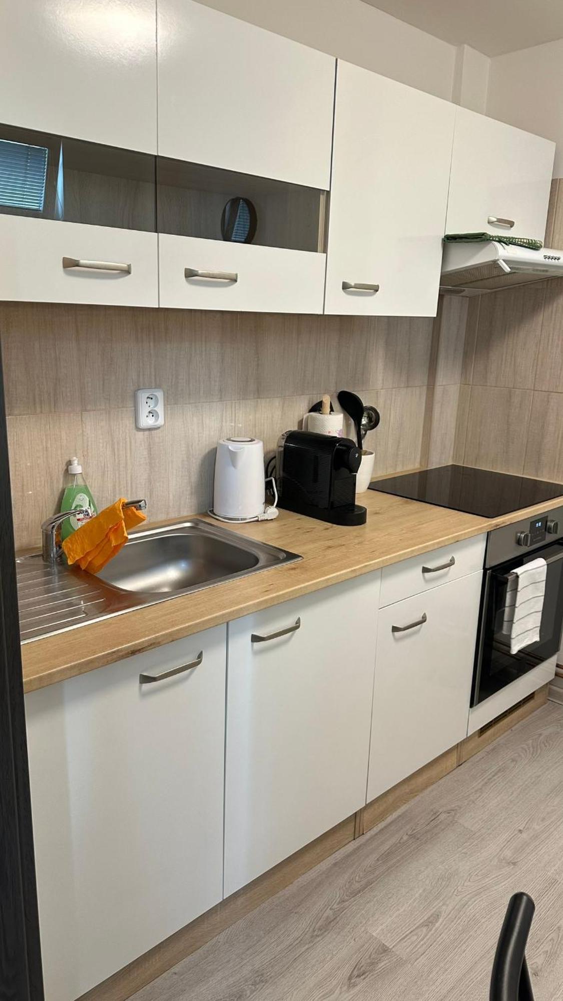 Apartmany Na Trojce Zatec  Exterior photo